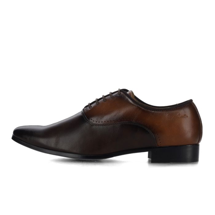 PC532BR-PIERRE-CARDIN-BRUNO-TAN-BRN-PC1179-V1